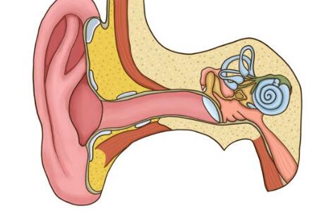 耳石症有什么症状表现？三个异常表现最明显，最好要重视