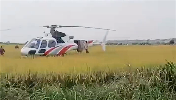 江西一直升机迫降稻田引村民围观：系故障、无人受伤
