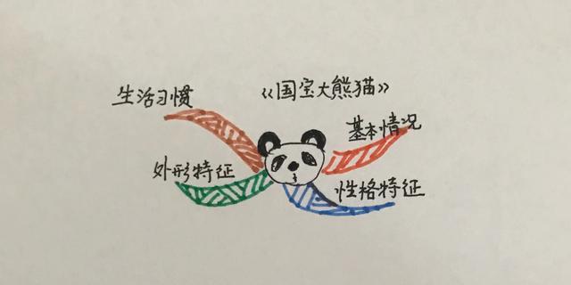 关于熊猫的所有资料大熊猫的资料画