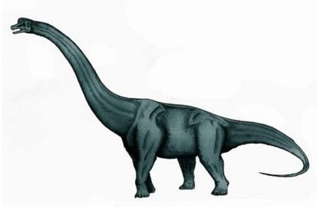 如何计算恐龙的体重世界上最厉害的恐龙是什么