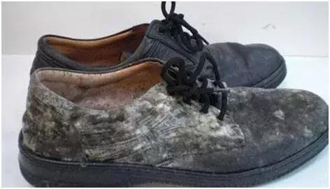 皮鞋怎么保存才不会发霉