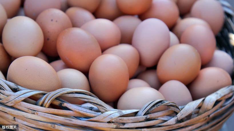 土鸡蛋和普通鸡蛋的营养价值对比