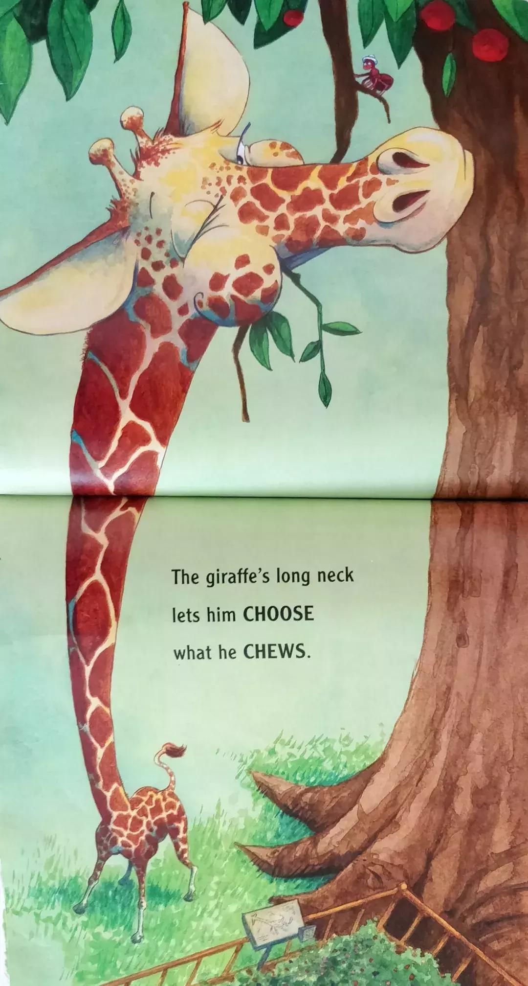giraffe怎么读