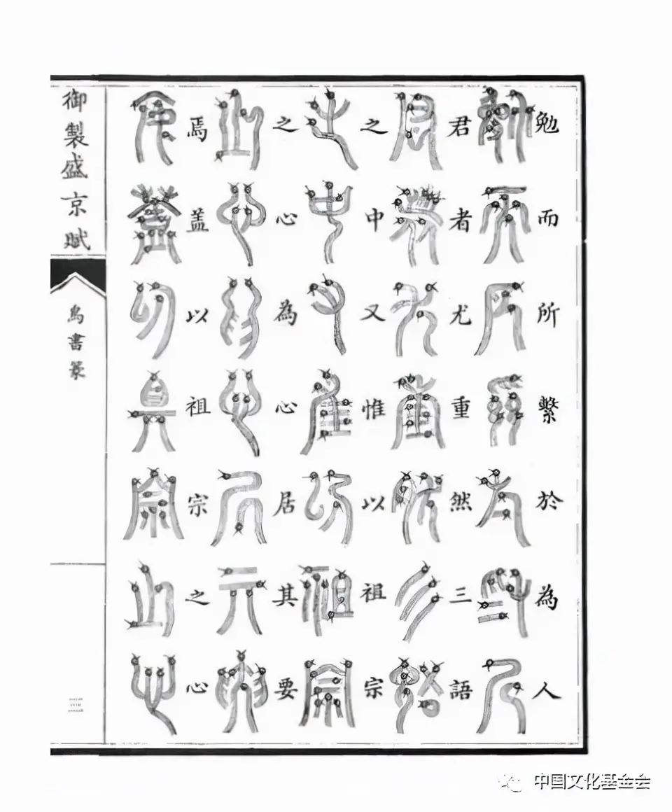 鸟字旁与汉字演变的历史联系